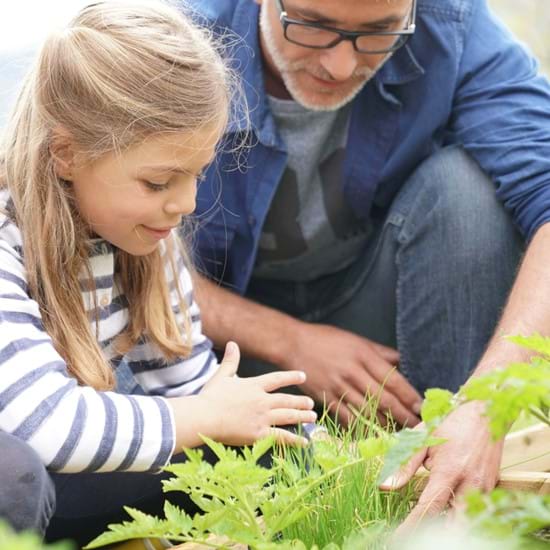 Growing Good Habits in Your Backyard | Kaleido Blog Article