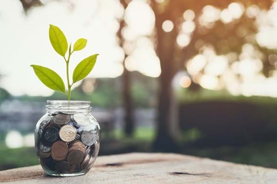 Sustainable Investing: More Than a “Green Trend” | Kaleido Blog Article