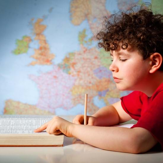 Using the Dictionary: A Daunting Task for Many Children | Kaleido Blog Article