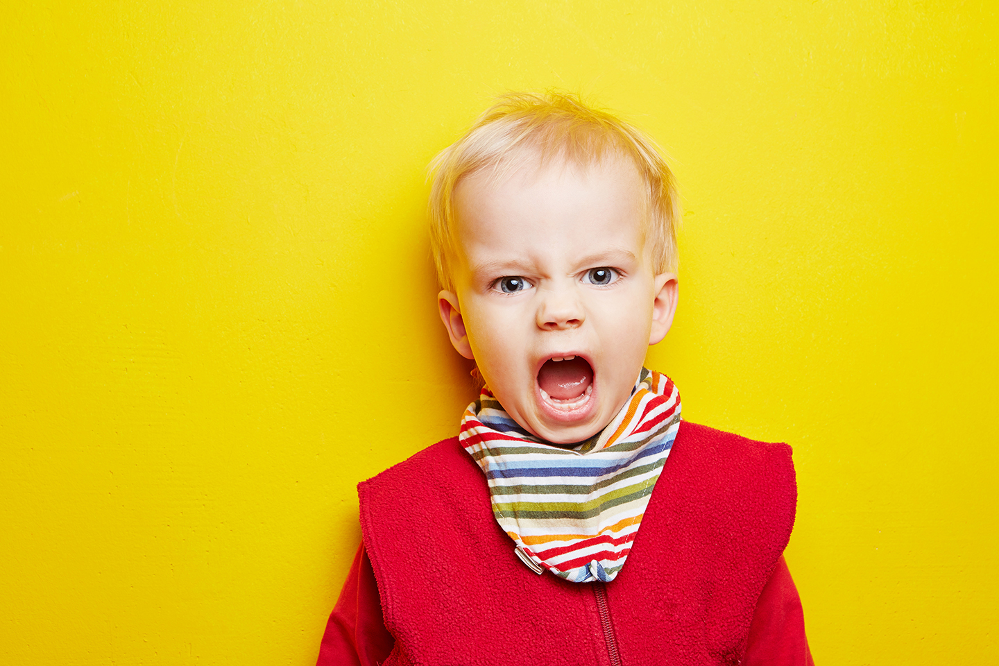 Le « Terrible Two ». Quand? Pourquoi? Quoi faire? | Article de blogue de Kaleido