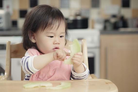 Beginners Guide to Baby-Led Weaning | Kaleido Blog Article